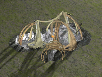 Reconstruction of an ancient Thule culture whalebone hut
                           from Bathurst Island in Canada’s high Arctic was done using maps of the
                           archaeological site and the latest in computer imaging software in the U
                           of C’s Schlumberger iCentre. Photo courtesy of Richard
                           Levy.
